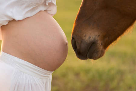 A pregnant girl in white communicates with a horse on a green meadow at sunset. Therapy and relaxation for pregnant women. Antistress therapy.の写真素材