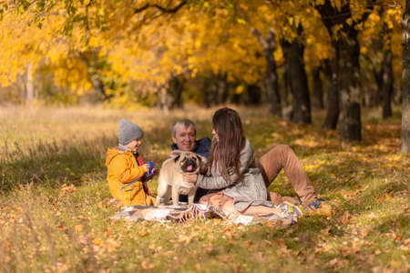 A young family with a small child and a dog spend time together for a walk in the autumn park.の写真素材