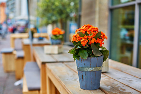 A bouquet of flowers in a decorative wooden vase outdoor table decoration.の写真素材