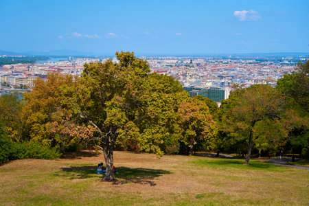 A lawn in a city park with a view of the city in a park in Budapest.の写真素材