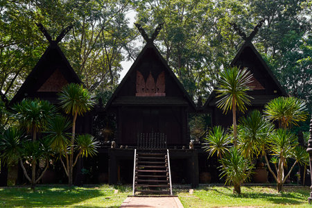 Chiang Rai, Thailand - 09.02.2022 The are characterized by their unusual shapes, intricate designs, and dark color scheme, which all contribute to the overall eerie and mystical atmosphere buildings of the temple complexのeditorial素材