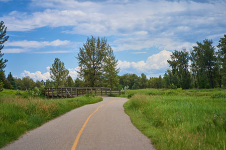 A path in a beautiful summer city park by the riverの写真素材