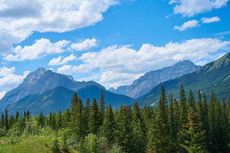 The rocky mountains are surrounded by coniferous forests on a sunny summer dayの写真素材