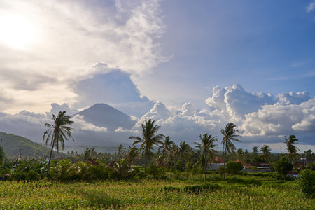 View of the mountain against a background of palm trees and a cornfield. Panorama of Agung volcano covered with clouds before sunsetの写真素材