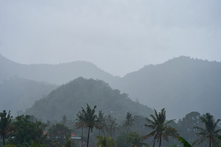 A tropical rainstorm in a rice field with cascading mountains and palm treesの写真素材