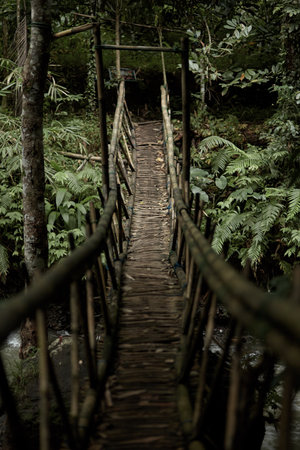 Suspended bamboo bridge in the jungle on the popular island of Bali