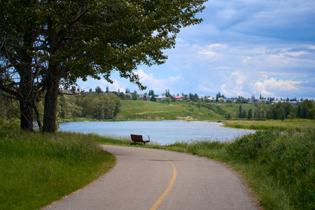 A path in a beautiful summer city park by the river. A bench on the shore of a calm lake in the forestの写真素材