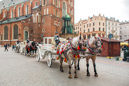 Vintage elegant carriages with beautifully dressed horses ride people around the historic center of...