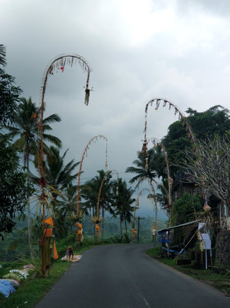A highway in a Balinese village is decorated before the holidays. Traditional bamboo sticks along the roadside.の写真素材