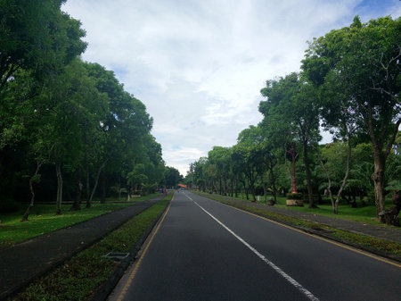 An asphalt road through the green jungle. Traveling during the day.の写真素材