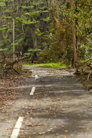 Fallen leaves and branches after a storm lie on an asphalt road in an Asian village on the popular tourist island of Baliの写真素材