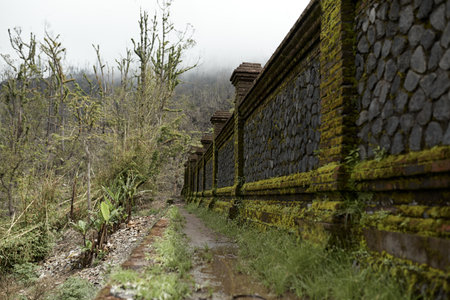 The old stone wall is covered with mossの写真素材