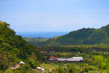 A view of tropical mountains and rice fields with palm trees on a sunny day