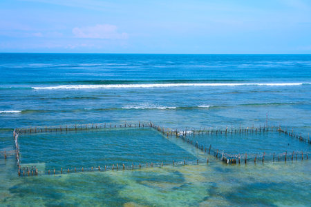 A local seafood farm in the ocean. A net fence for shellfish farming near the shore