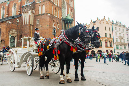 Vintage elegant carriages with beautifully dressed horses ride people around the historic center of Krakow on the old streets of Europe. Krakow, Poland - 05.16.2019のeditorial素材