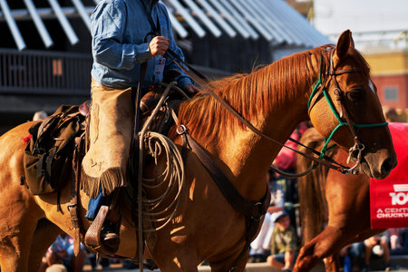 A cowboy is riding a horse in the Calgary Stampede parade, which is a traditional celebration in the city. He wears traditional clothing and a wide-brimmed hat. People and city life are in the background as the event goes on. 07.07.2023 - Calgary, Canada