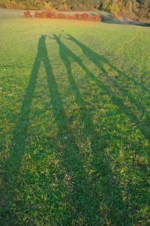 Happy people with handsup in the meadow ...
