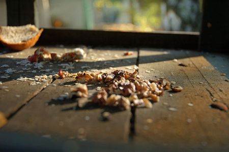 Look here, in the birdhouse, on the table...の写真素材