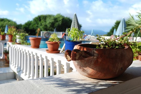 Greece architecture, restaurant, vase; herbs and spicesの写真素材