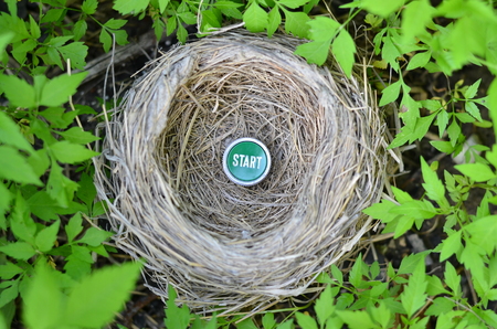 nest with start buttonの写真素材