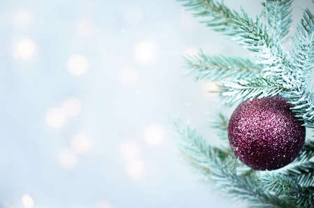 Pine branch on a bokeh background with a ball. High quality photoの写真素材
