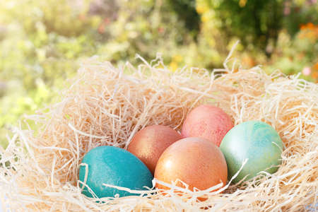 Colorful eggs in a basket in the fresh air. High quality photo