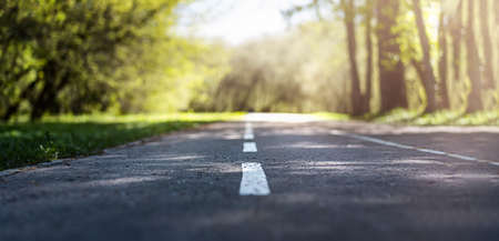 Walking and cycling paths in the park. High quality photoの写真素材