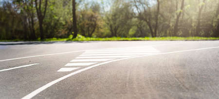 The intersection of pedestrian and bicycle roads in the park. High quality photoの写真素材