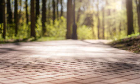 Walking paths paved with tiles in the city park. High quality photoの写真素材