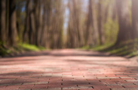 The pedestrian path in the city park is paved with tiles. Blurred background. High quality photoの写真素材