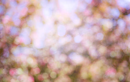 Natural pink-green bokeh in the sunlight. Abstract bokeh. High quality photoの写真素材