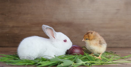Rabbit, little chicken and Easter egg in the grass on the table. High quality photo
