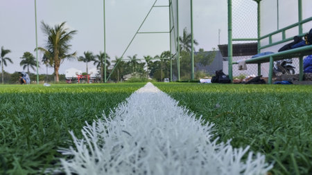 Soccer field with white line on green grass in football stadium.