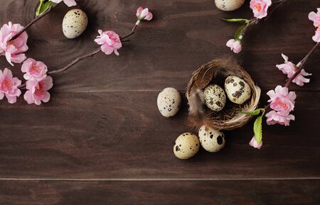 colorful easter eggs and spring flowers