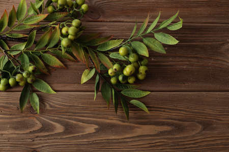 beautiful autumn leaves on wooden background. frame backgroundの写真素材