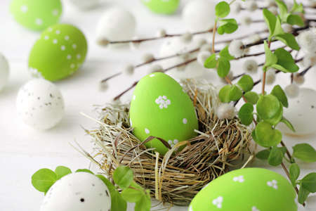 colorful easter eggs and spring flowersの写真素材