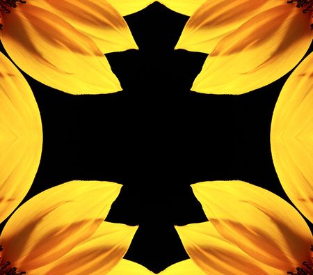 Frame made of beautiful sunflower with black backgroundの写真素材