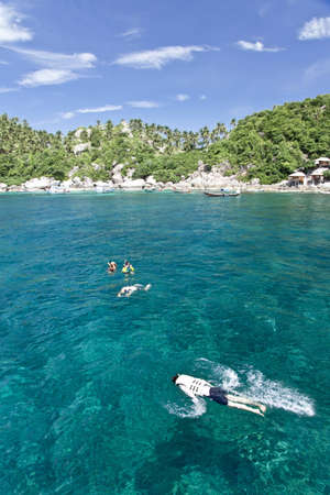 Snorkelingの写真素材