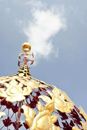 Gold Flower with blue skyの写真素材