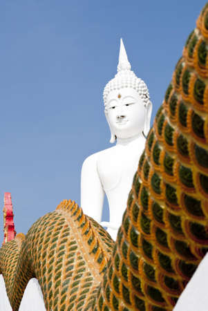 White Buddha and king of Nagasの写真素材