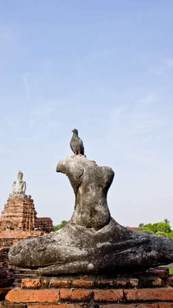 Buddha statue with birdの写真素材