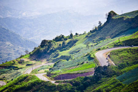 Big Cabbage farm on the mountain の写真素材