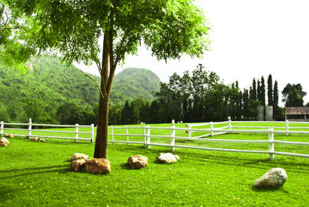 Filed and Farm 