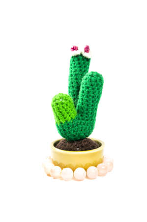 Cactus Knitted doll   の写真素材