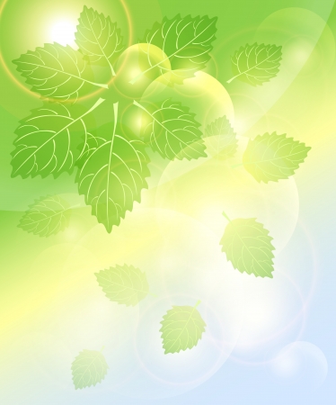 Abstract spring background with leaves bubbles and lightのイラスト素材