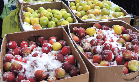 Street stand with snow-covered apples at a snowfallの写真素材