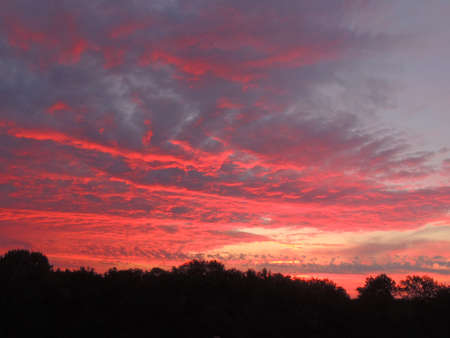 Sunset over the forest on the background of cloudsの写真素材