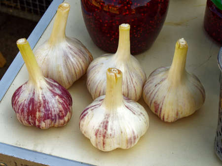 Five garlic heads located on the table surfaceの写真素材