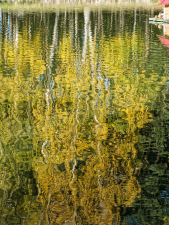 Trees reflected on the rippling surface of the lake in autumnの写真素材