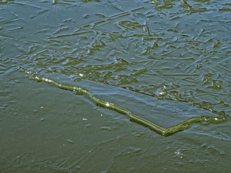 Ice-covered water surface in sunlightの写真素材